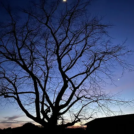 La Grande Rossignol Holiday home