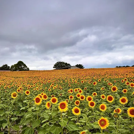 La Grande Rossignol Casa vacanze