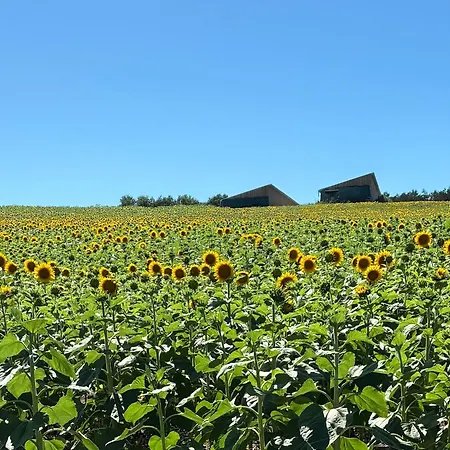 La Grande Rossignol Holiday home *