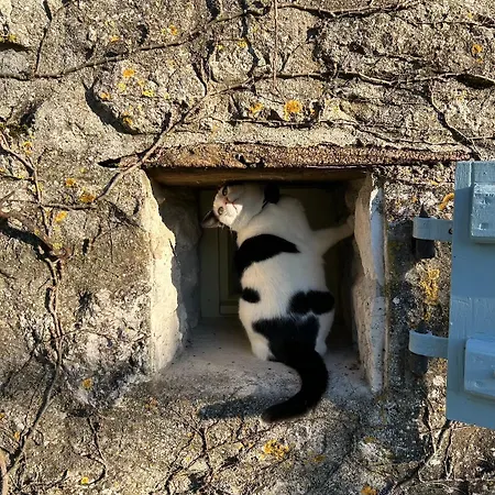 Casa vacanze La Grande Rossignol *