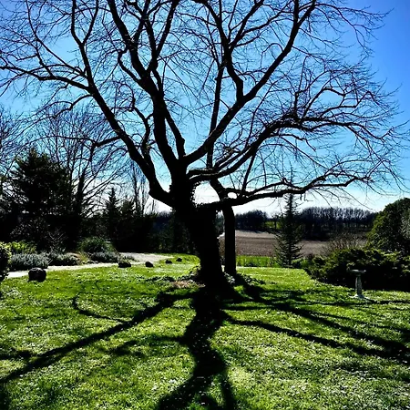 La Grande Rossignol Belveze